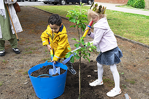 2 Planting Tree 1000 3 Copy