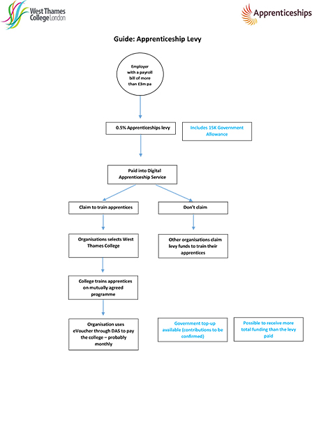 employer levy guide