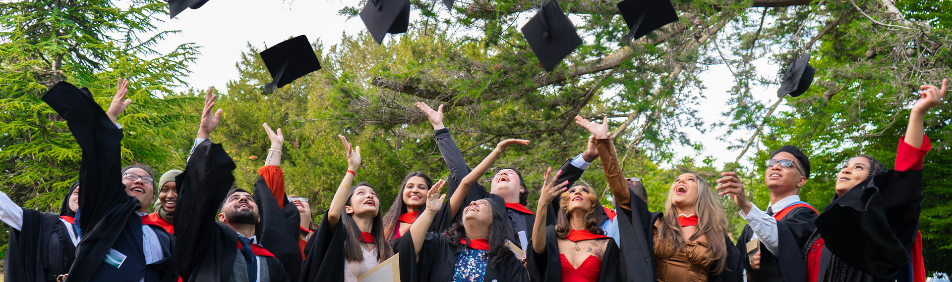 Higher Education